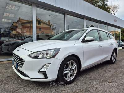 Ford Focus EcoBlue 120 CV SW Business usata Ciampino