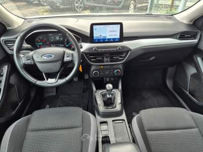 Ford Focus EcoBlue 120 CV SW Business usata Ciampino