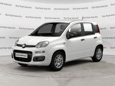 Fiat Pandina 1.0 FireFly S&S Hybrid Pop Bianco usata VAREDO