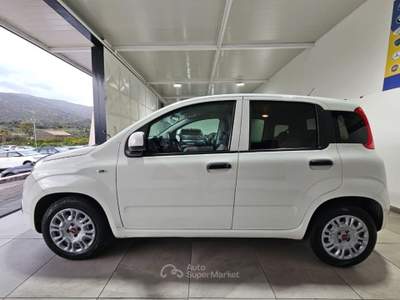 Fiat Panda 1.3 MJT S&S Easy NO CLIMA Bianco usata ADRANO
