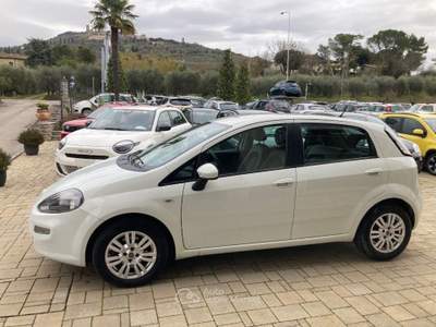 Fiat Punto 1.3 MJT II 75 CV 5 porte Easy Bianco usata Cortona