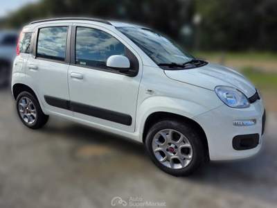 Fiat Panda motore e frizione nuovi Bianco usata Cecina