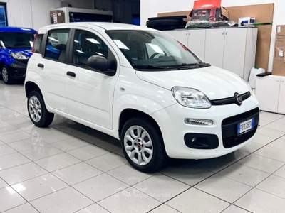 Fiat Panda 0.9 TwinAir Turbo Natural Power Easy Bianco usata Pieve di Soligo