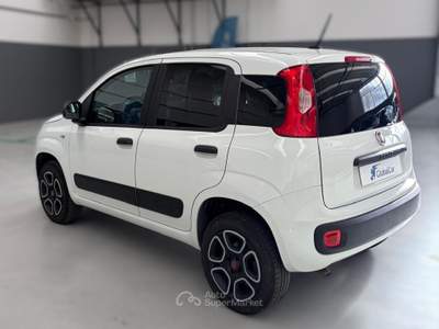 Fiat Panda MOTORE NUOVO, unico proprietario, IVA esposta Bianco usata Verona