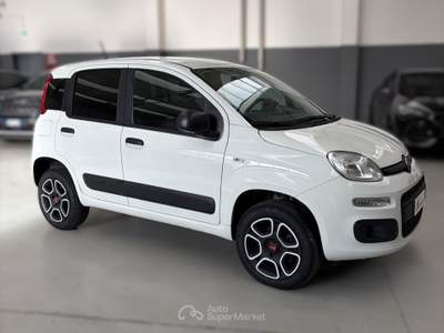 Fiat Panda MOTORE NUOVO, unico proprietario, IVA esposta Bianco usata Verona