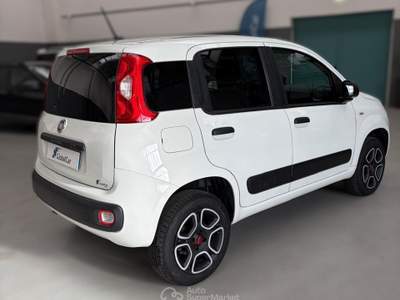 Fiat Panda MOTORE NUOVO, unico proprietario, IVA esposta Bianco usata Verona