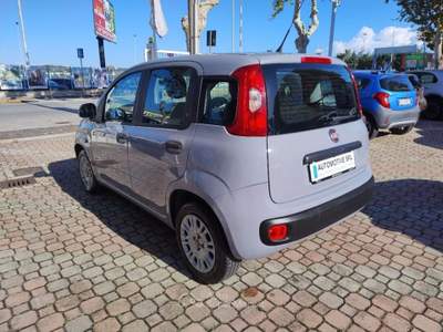 Fiat Panda 1.2 Easy Grigio usata San Giovanni Teatino