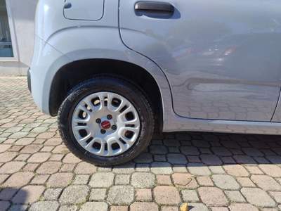 Fiat Panda 1.2 Easy Grigio usata San Giovanni Teatino