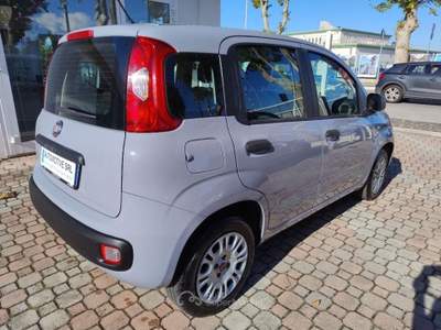 Fiat Panda 1.2 Easy Grigio usata San Giovanni Teatino