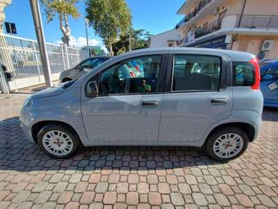 Fiat Panda 1.2 Easy Grigio usata San Giovanni Teatino