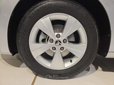 Skoda Octavia 2.0 TDI EVO 115cv EXECUTIVE Argento usata Fornovo di Taro