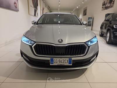 Skoda Octavia 2.0 TDI EVO 115cv EXECUTIVE Argento usata Fornovo di Taro