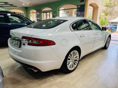 Jaguar XF 3.0 D V6 Luxury Bianco usata Morano Calabro