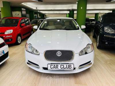 Jaguar XF 3.0 D V6 Luxury Bianco usata Morano Calabro