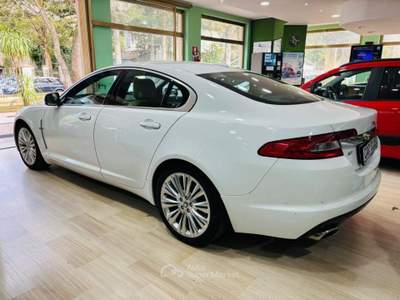 Jaguar XF 3.0 D V6 Luxury Bianco usata Morano Calabro