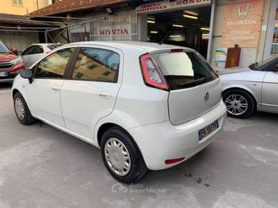 Fiat Punto Punto 1.4 easypower Easy Gpl 5p Bianco usata Torino