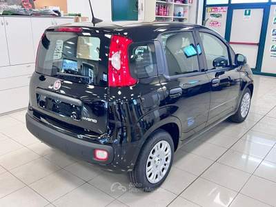 Fiat Panda 1.0 FireFly S&S Hybrid Icon Nero usata Pieve di Soligo
