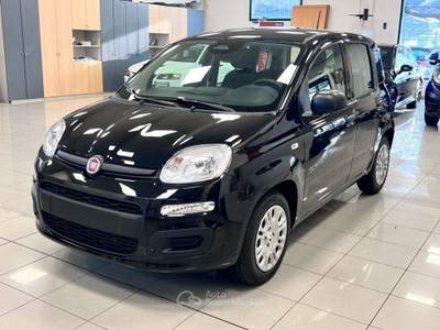 Fiat Panda 1.0 FireFly S&S Hybrid Icon Nero usata Pieve di Soligo