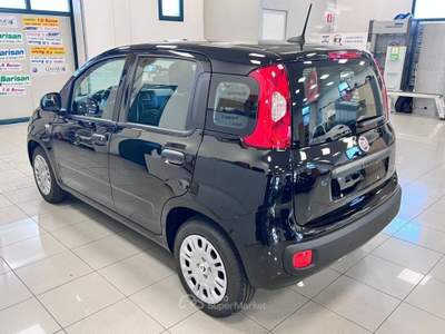 Fiat Panda 1.0 FireFly S&S Hybrid Icon Nero usata Pieve di Soligo