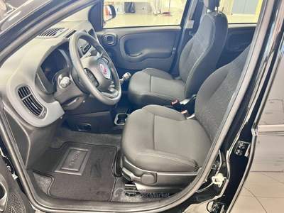 Fiat Panda 1.0 FireFly S&S Hybrid Icon Nero usata Pieve di Soligo