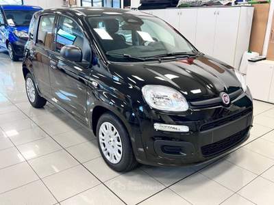 Fiat Panda 1.0 FireFly S&S Hybrid Icon Nero usata Pieve di Soligo