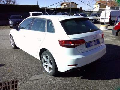Audi A3 SPB 30 TDI Business Bianco usata Fossano