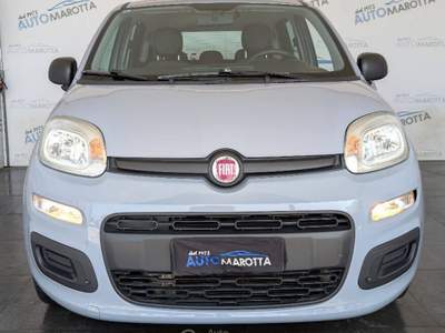 Fiat Panda 1.2 Easy 69cv Grigio usata Limatola