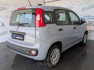 Fiat Panda 1.2 Easy 69cv Grigio usata Limatola