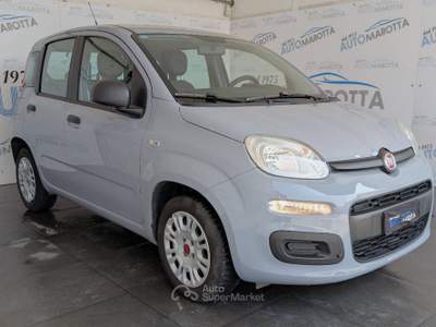 Fiat Panda 1.2 Easy 69cv Grigio usata Limatola