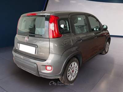 Fiat Panda III 2021 1.0 firefly hybrid s&s 70cv Grigio usata Torino