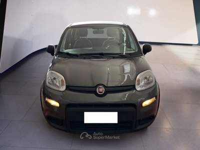 Fiat Panda III 2021 1.0 firefly hybrid s&s 70cv Grigio usata Torino