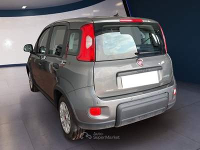 Fiat Panda III 2021 1.0 firefly hybrid s&s 70cv Grigio usata Torino