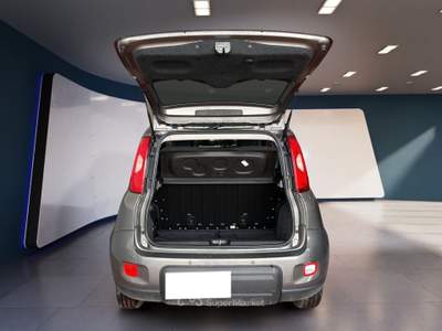 Fiat Panda III 2021 1.0 firefly hybrid s&s 70cv Grigio usata Torino