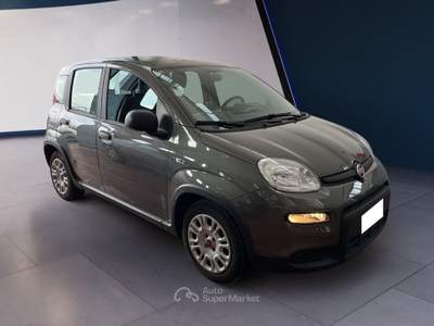Fiat Panda III 2021 1.0 firefly hybrid s&s 70cv Grigio usata Torino