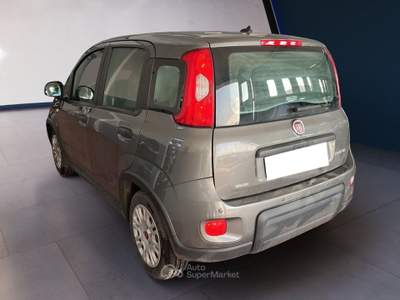 Fiat Panda III 2021 1.0 firefly hybrid s&s 70cv Grigio usata Torino