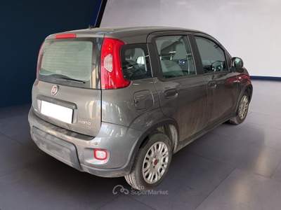 Fiat Panda III 2021 1.0 firefly hybrid s&s 70cv Grigio usata Torino