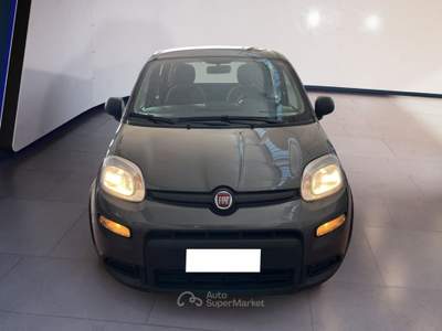 Fiat Panda III 2021 1.0 firefly hybrid s&s 70cv Grigio usata Torino