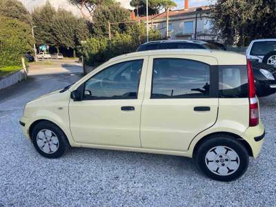 Fiat Panda - GPL Giallo usata Massa