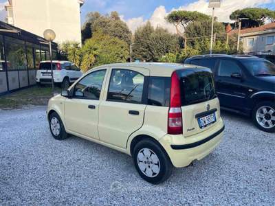 Fiat Panda - GPL Giallo usata Massa