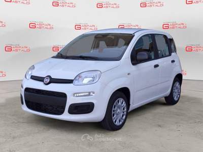 Fiat Panda Panda 1.0 FireFly S&S Hybrid Pop Bianco usata Villaga