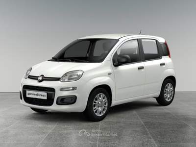 Fiat Panda Pandina 1.0 FireFly S&S Hybrid Pop Bianco usata Varedo