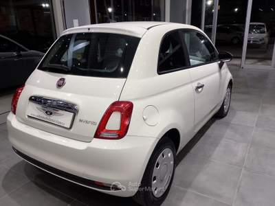Fiat 500 Cult Bianco usata Isernia