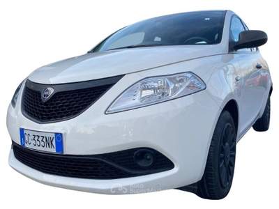 Lancia Ypsilon 1.2 69 CV 5 porte GPL Ecochic Gold Bianco usata Oderzo