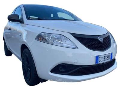 Lancia Ypsilon 1.2 69 CV 5 porte GPL Ecochic Gold Bianco usata Oderzo