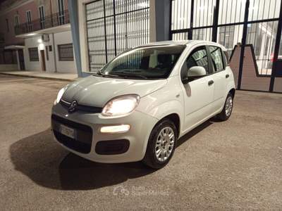 Fiat Panda Easy Bianco usata CERIGNOLA