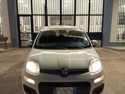 Fiat Panda Easy Bianco usata CERIGNOLA