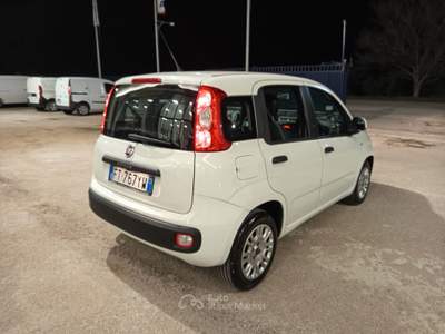 Fiat Panda Easy Bianco usata CERIGNOLA
