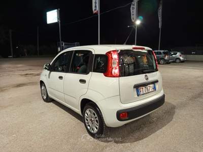 Fiat Panda Easy Bianco usata CERIGNOLA
