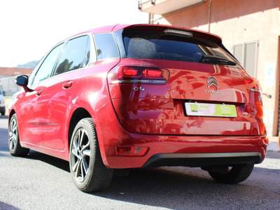 Citroen C4 Picasso BlueHDi 120 S&S EAT6 Shine Lilla usata Sanremo