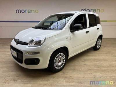 Fiat Panda Van 1.0 hybrid Easy 70 CV Bianco usata Faenza